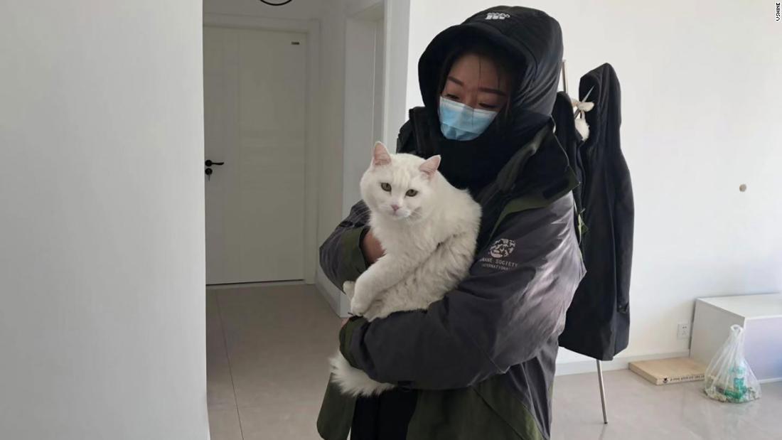 中国の保護団体のメンバーが捨て猫に寄り添う様子/Vshine