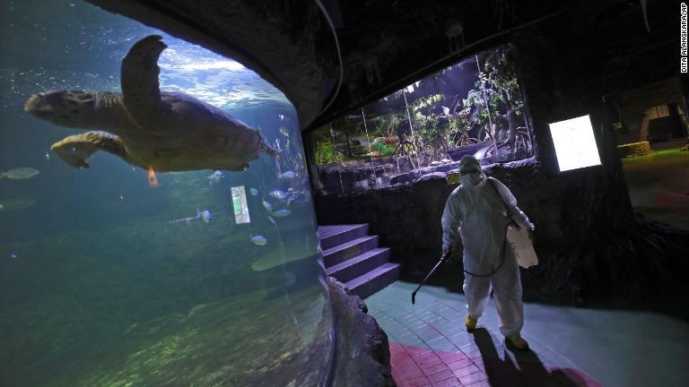 水族館でも消毒作業が行われた＝１４日、インドネシア・ジャカルタ/Dita Alangkara/AP