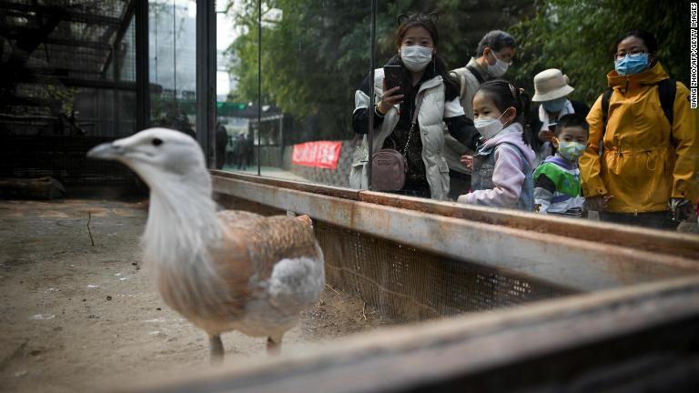 再開した北京動物園を訪れた人たち＝２５日/Wang Zhao/AFP/Getty Images
