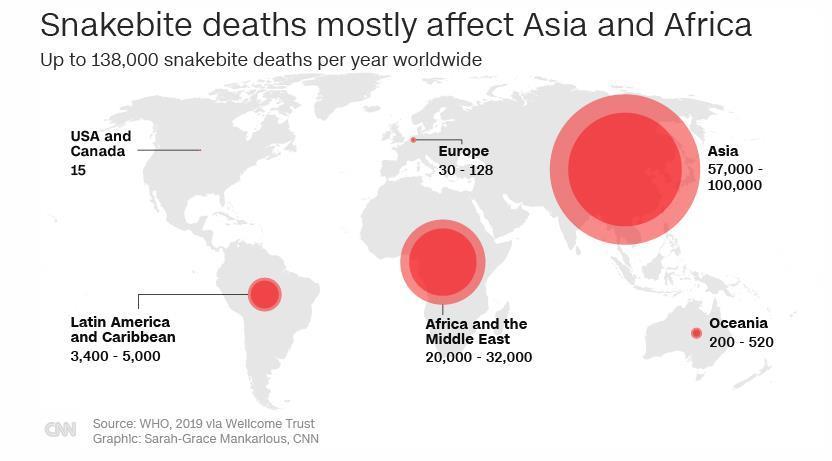 ヘビによる被害はアジアとアフリカで多く、世界全体では毎年最大１３万８０００人が死亡する