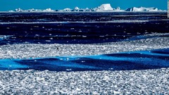 南極東部を襲った史上初の熱波、生態系への影響に懸念