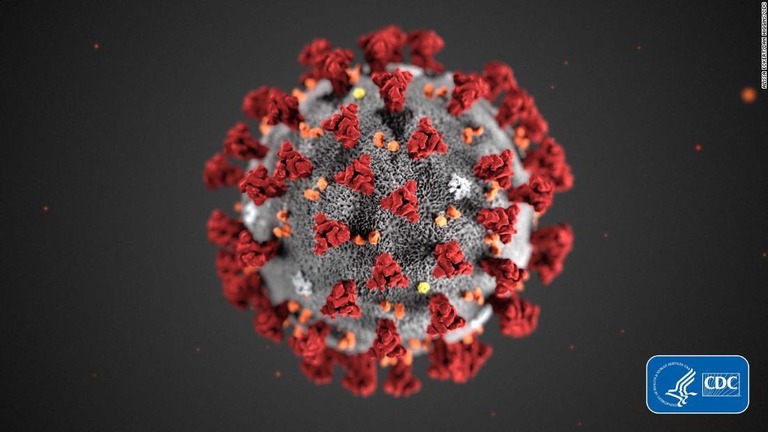 検出したウイルスからは地理的な起源ごとに小さな変異がみられるという/CDC