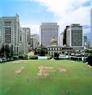 市中心部の広大な芝生で最後に開催されたクリケットの試合
