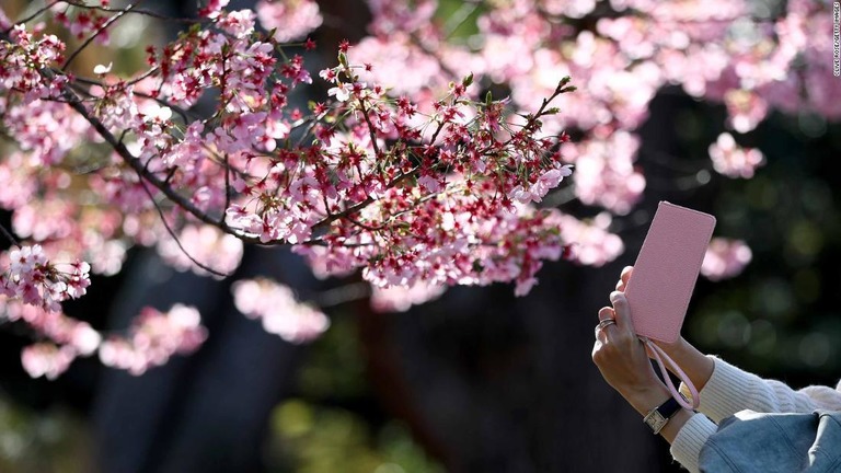 外出自粛の要請が出ても花見を楽しむ人の姿も見られた東京では、新型コロナウイルスの感染拡大に対する懸念が高まりつつある/Clive Rose/Getty Images