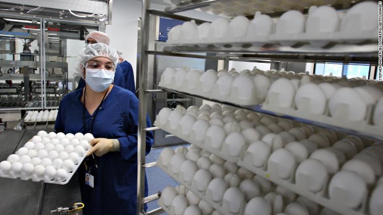 製薬会社の施設で保管される大量の卵/Stephen Hilger/Bloomberg/Getty Images