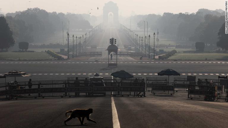空っぽの道路を横切るサル＝インド・ニューデリー/Anushree Fadnavis/Reuters