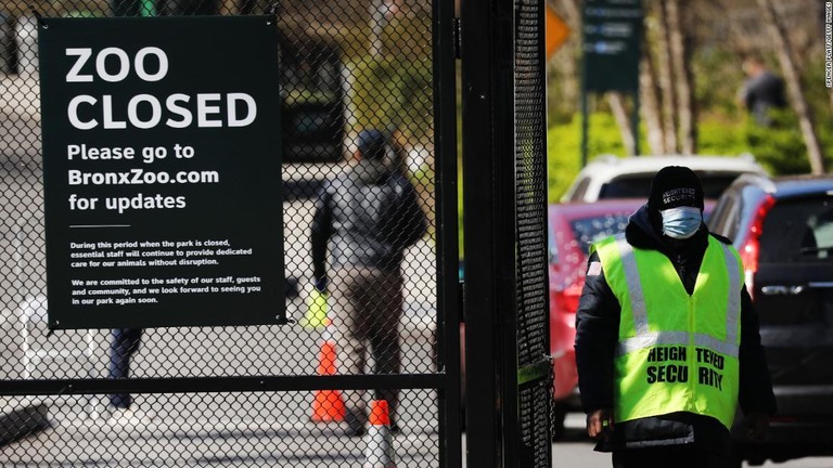 米ＮＹ市のブロンクス動物園で新たにトラとライオン７頭が新型コロナに感染/Spencer Platt/Getty Images