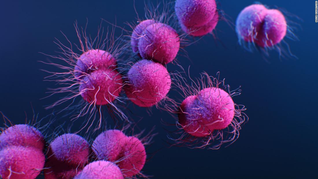 アリサ・エッカート氏がつくった薬剤耐性を持つ淋菌のイラスト/Alissa Eckert/CDC