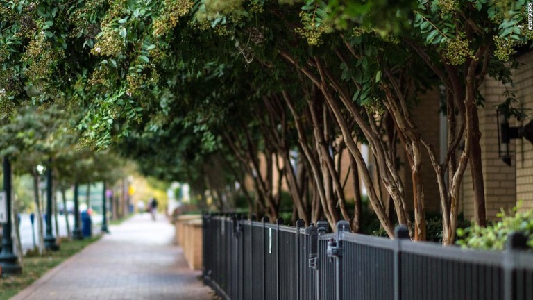 都市部での植樹の増加で早死にが抑制される可能性があるとの研究結果が示された/Shutterstock