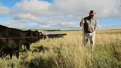 気候危機、解決の鍵は牛　農耕と牧畜合わせた再生型農業とは