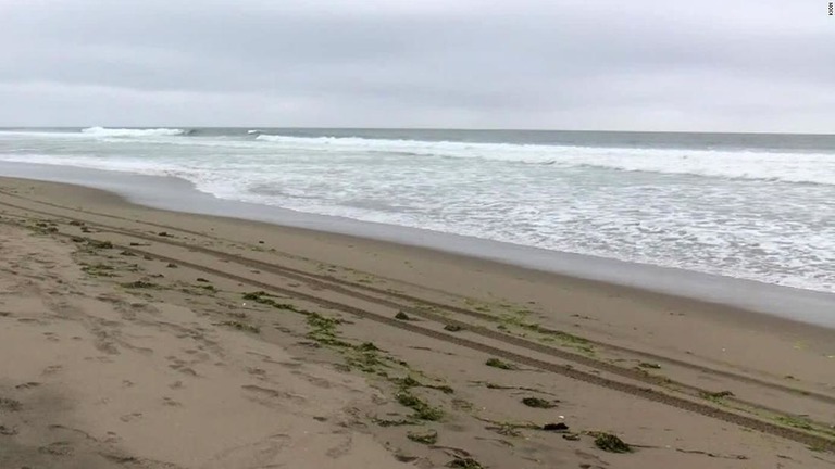 米カリフォルニア州のビーチで、サーフィンをしていた２６歳の男性がサメに襲われ死亡した/KION