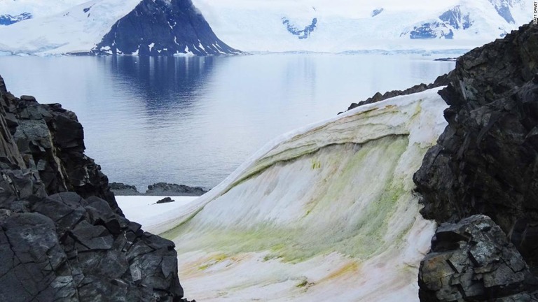 南極・アンカレッジ島で藻が見られた＝２０１８年/Matt Davey