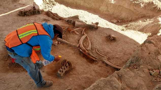 マンモスの骨の発掘を行う考古学者/Instituto Nacional de Antropología e Historia