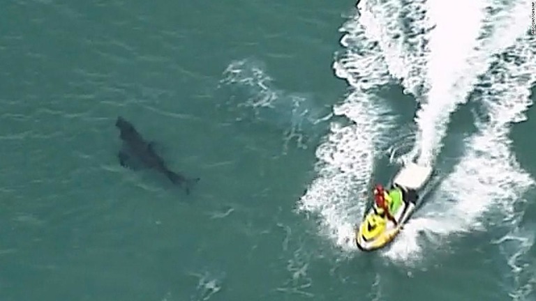 海岸沿いを泳ぐサメを上空から撮影した画像＝７日、豪ニューサウスウェールズ州/ABC/CH7/CH9/AP