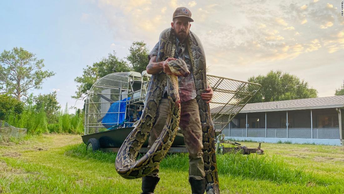 Cnn Co Jp 体長５メートルの巨大ヘビと格闘 素手で捕獲 米フロリダ州
