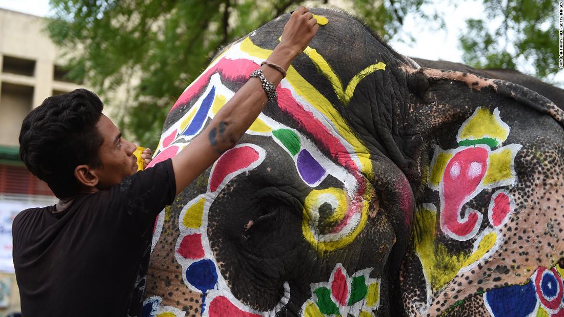 祭りにあわせてペイントを施されるゾウ＝２０１９年/Sam Panthaky/AFP/Getty Images