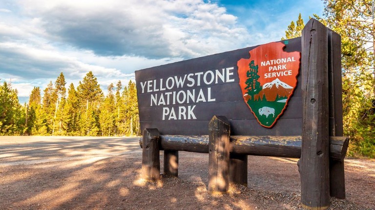 米イエローストーン国立公園で７２歳の女性がバイソンに突かれ負傷した/Shutterstock
