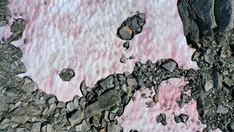 イタリア北部の氷河が藻の繁殖によりピンク色に染まっている/Miguel Medina/AFP/Getty ImagesMiguel Medina/AFP/Getty Images