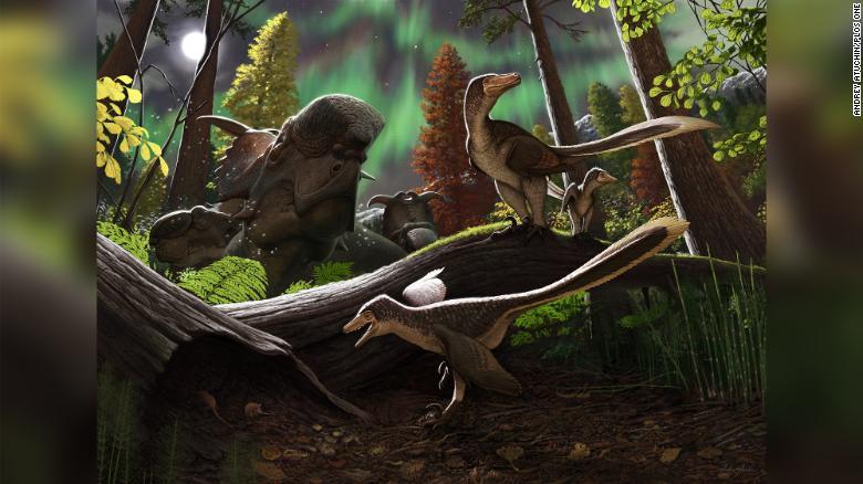 若いドロマエオサウルスの想像図/Andrey Atuchin/PLOS One