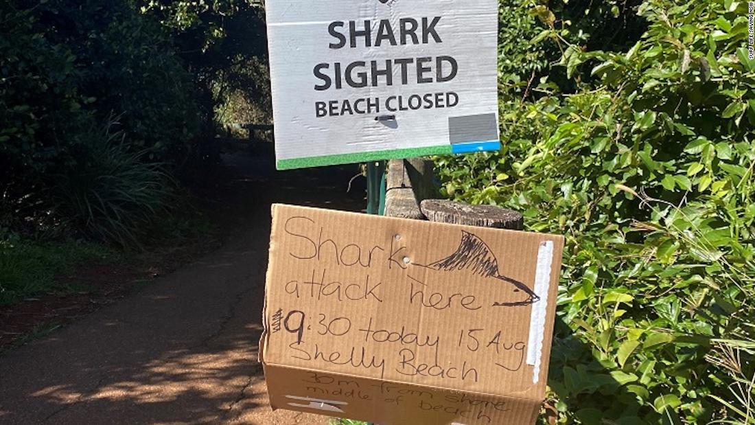 １５日に起きたサメの襲撃について警告する看板/Surf Life Saving NSW