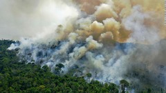 猛煙に覆われるアマゾン熱帯雨林、ブラジル大統領は「うそ」と主張