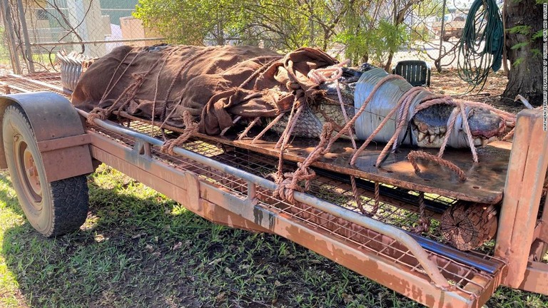 オーストラリアで体長４．４メートル、体重３５０キロの巨大なワニが捕獲された/ Northern Territory Department of Tourism, Sport and Culture 