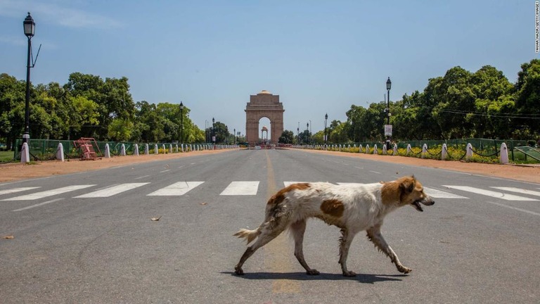 インドで新型コロナウイルスの感染者数が４００万人を突破した/Yawar Nazir/Getty Images