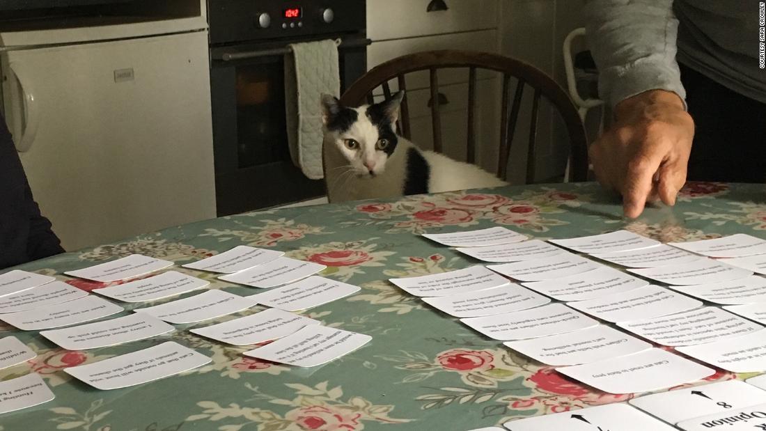 今回の研究は猫の飼い主50人以上を対象に実施した/Courtesy Sara Crowley