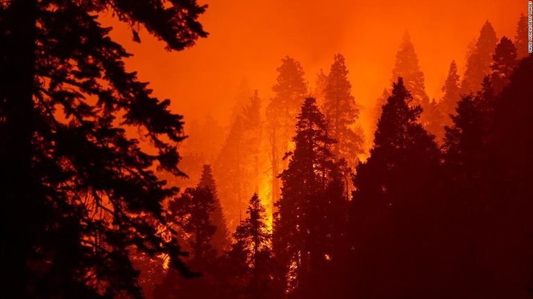 米西海岸一帯で続く山火事の煙が北欧にまで到達したことがわかった/David McNew/Getty Images