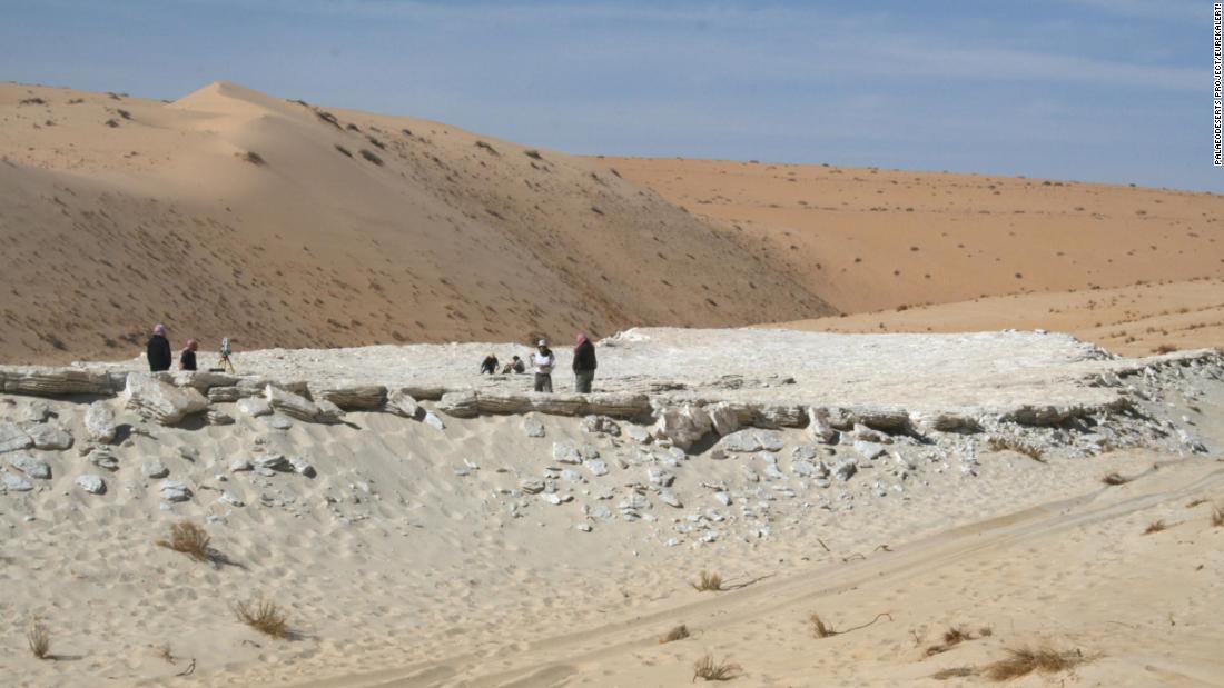 研究者たちはサウジアラビアのネフド砂漠で古代の湖の調査中に足跡を発見した/Palaeodeserts Project/EurekAlert!
