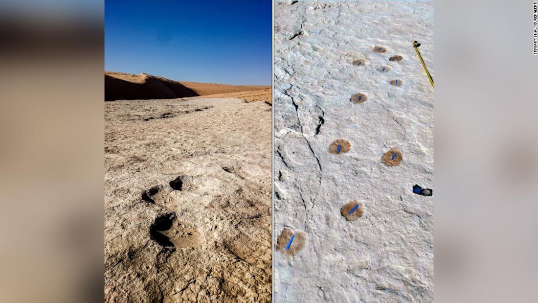 発見されたゾウ（写真左）とラクダ（写真右）の足跡/Stewart et al./EurekAlert!