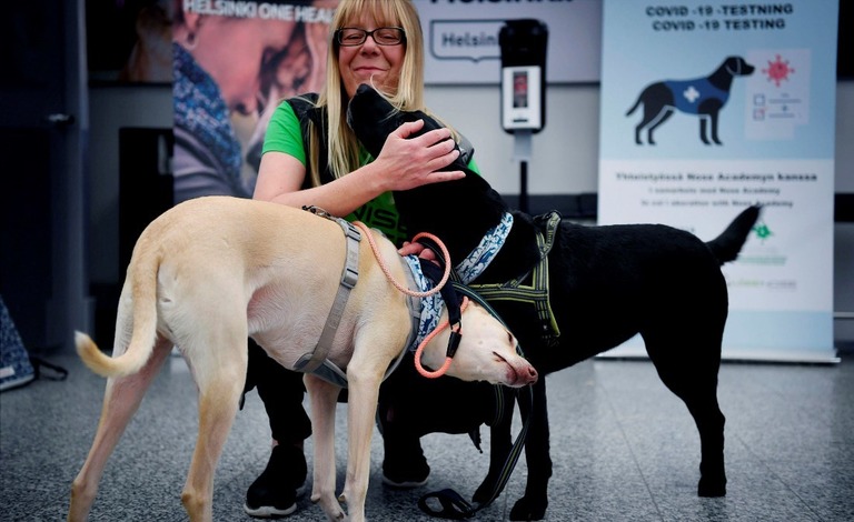 フィンランド首都の空港で犬の嗅覚によってコロナ感染者を検知する取り組みが始まった/Antti Aimo-Koivisto/Lehtikuva via AP