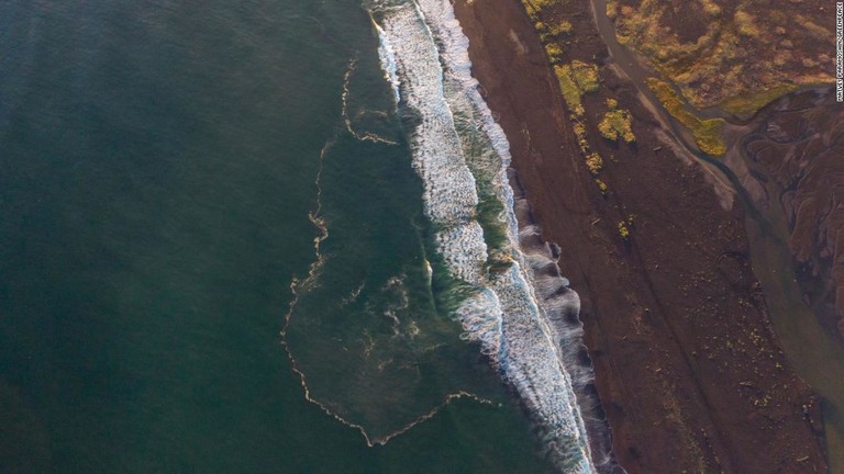 カムチャツカ半島沿岸で有毒物質が流出し、海洋生物が大量に死滅したという/Matvey Paramoshin/Greenpeace