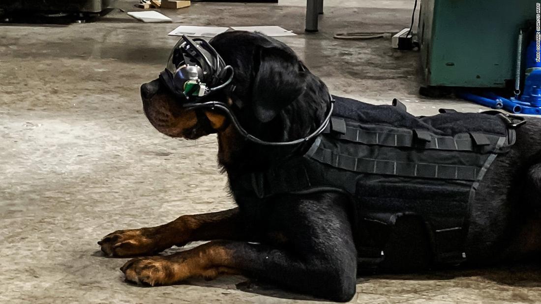 ゴーグルはそれぞれの犬に合わせてカスタム設計される/From Command Sight/US Army 