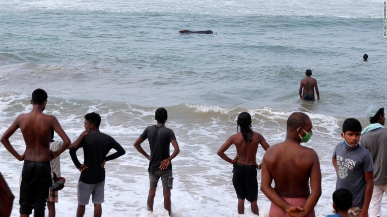 座礁したゴンドウクジラを沖へ戻した人々＝３日/Eranga Jayawardena/AP