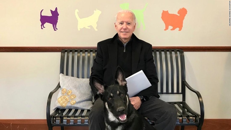 バイデン氏と飼い犬の「メイジャー」/Delaware Humane Association