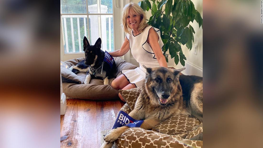 ジル・バイデンさんがツイッターに投稿したメイジャーとチャンプの写真=2020年8月/From Jill Biden/Twitter