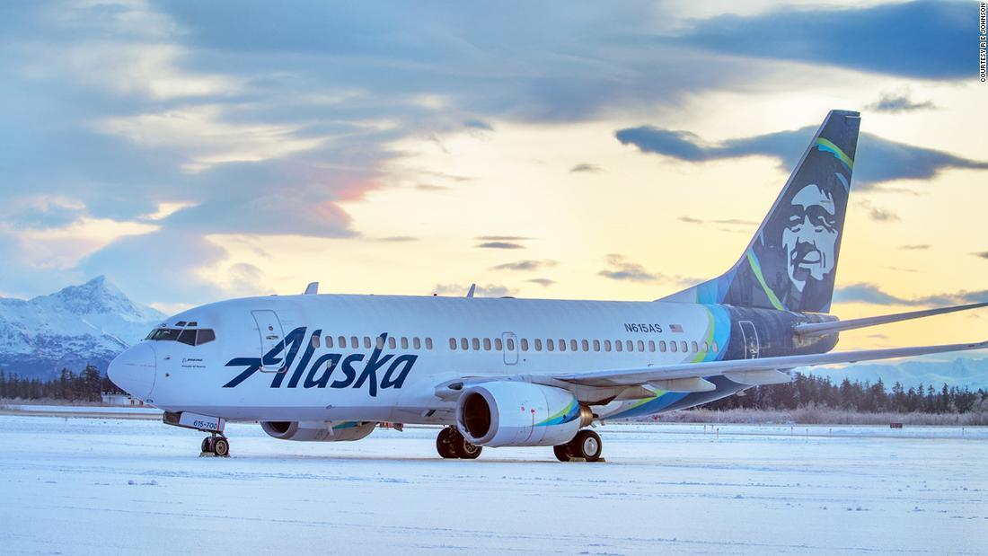 滑走路を横切ったクマ、旅客機に衝突して死ぬ 米アラスカ州 当該のボーイング737―700型機は修理が行われている/Courtesy R E Johnson