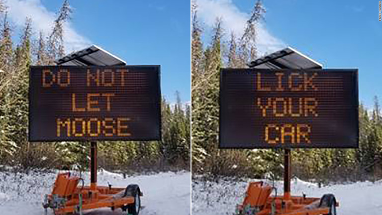 カナダ・アルバータ州ジャスパーで「ヘラジカに車をなめさせないで」と呼び掛け/Parks Canada 