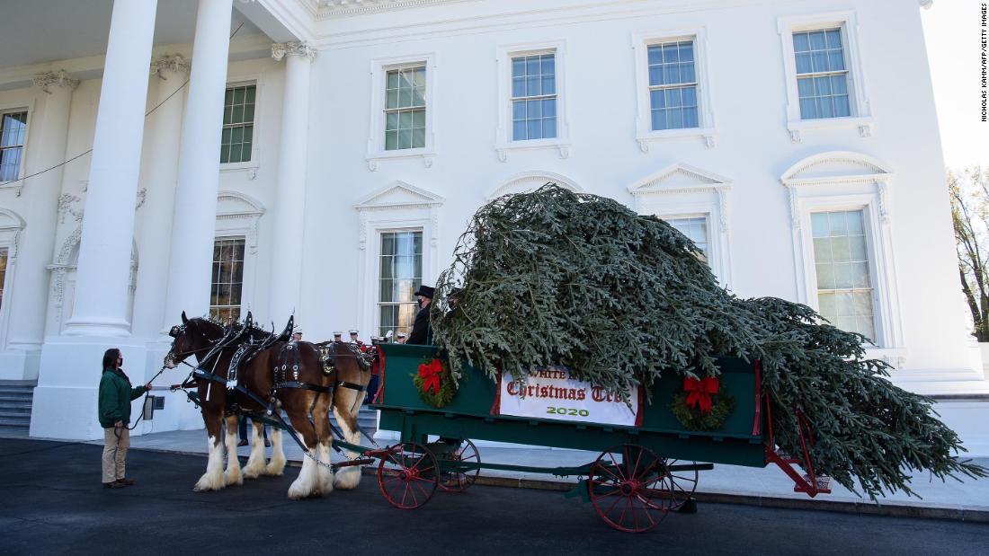 馬車でホワイトハウスに到着したクリスマスツリー/NICHOLAS KAMM/AFP/Getty Images