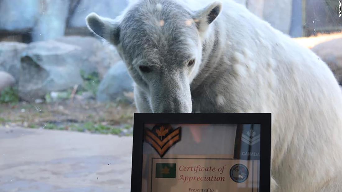 ジュノーには感謝状が贈られた/Toronto Zoo