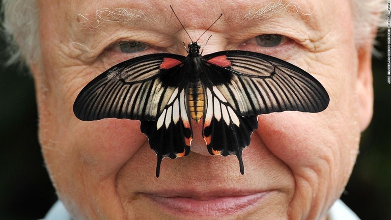 動物学者のデービッド・アッテンボロー氏/John Stillwell/PA Wire/PA Wire/Press Association Images