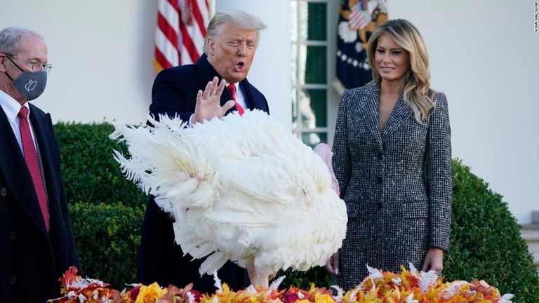感謝祭の恒例行事「七面鳥恩赦式」を行うトランプ大統領とメラニア夫人/Susan Walsh/AP