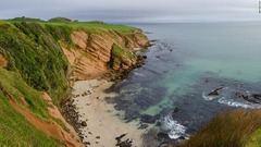 世界でここだけ？、コロナ禍でも観光客殺到　ＮＺのチャタム諸島