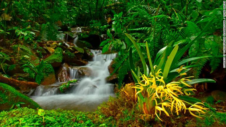 ゾンゴ渓谷は幻想的な滝がいくつもある。地元の人はそこから建築資材を調達したり、渓谷を水力発電に利用したり、首都ラパスや周辺地域の水源にするなどして利用している/Courtesy of Conservation International / Trond Larsen