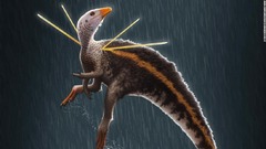 肩から「リボン」を生やした恐竜の化石、ブラジルで発見