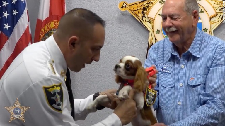 保安官代理に就任した子犬「ガンナー」/Lee County Sheriff's Office