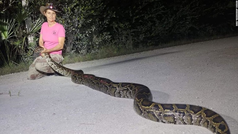 捕獲した体長約３．９メートルのビルマニシキヘビを手にするハンターのダナ・カリルさん/Kevin 