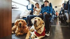 中国で深刻な盲導犬不足、全盲人口８００万人も盲導犬はわずか２００匹