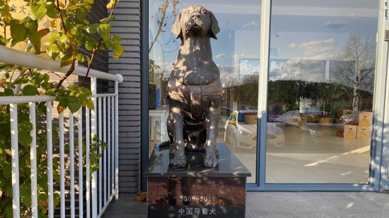 中国初の盲導犬訓練施設である大連盲導犬訓練センターは２００６年に創設された